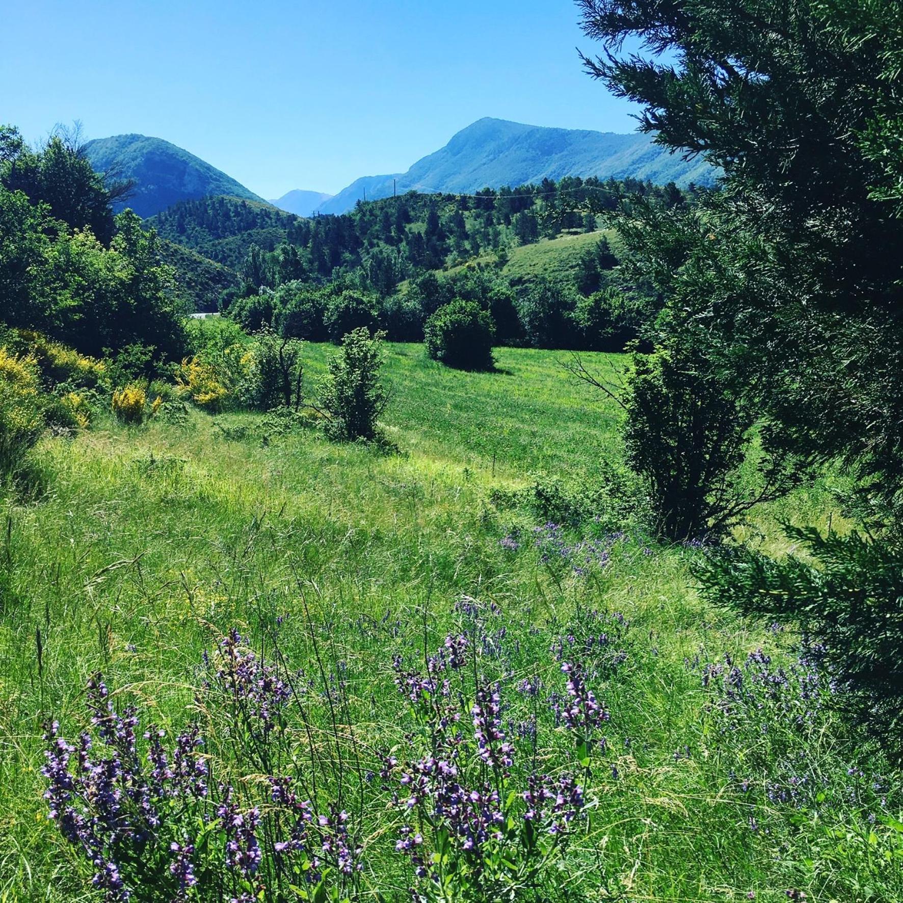 Le Moulin De La Viorne, Gite Avec Piscine Au Coeur De La Nature En Haute-Provence Les Omergues Екстериор снимка