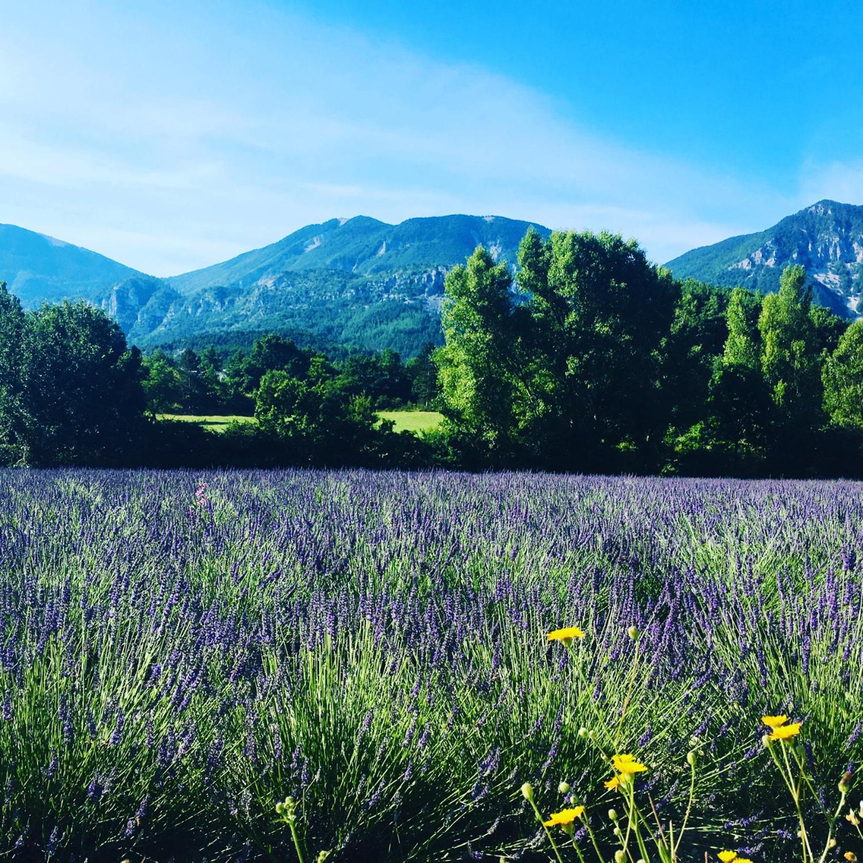 Le Moulin De La Viorne, Gite Avec Piscine Au Coeur De La Nature En Haute-Provence Les Omergues Екстериор снимка