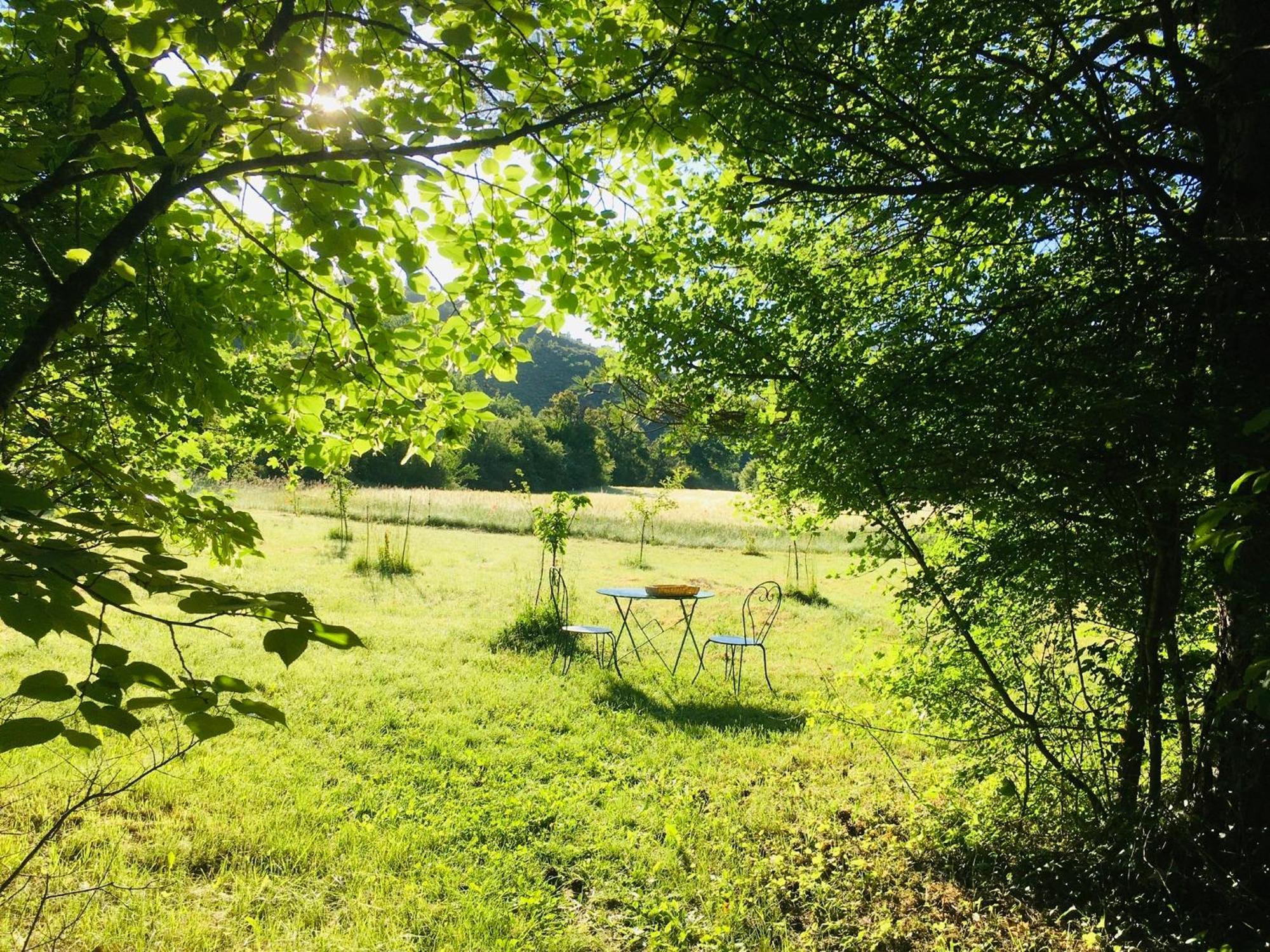 Le Moulin De La Viorne, Gite Avec Piscine Au Coeur De La Nature En Haute-Provence Les Omergues Екстериор снимка